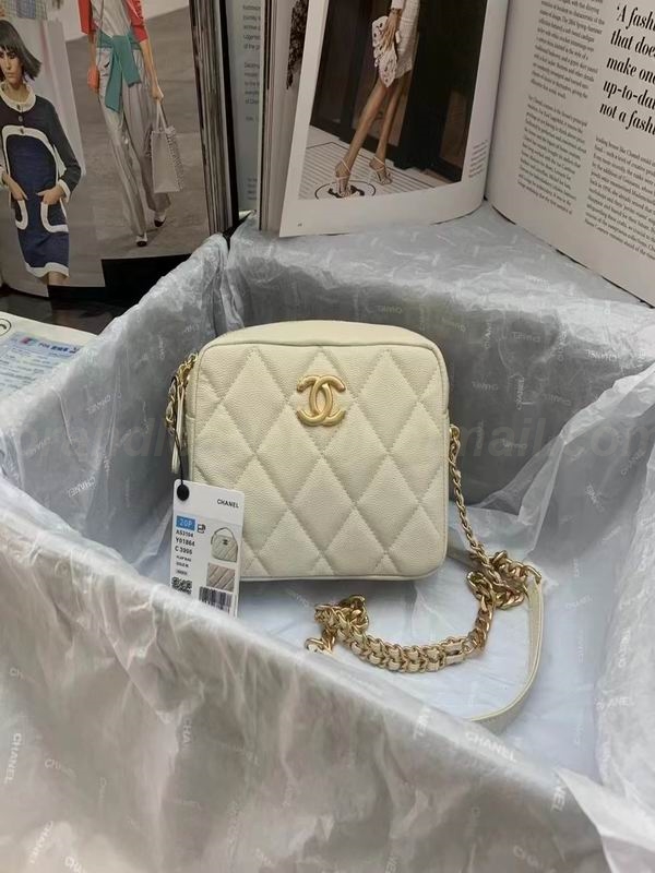 Chanel Handbags 169